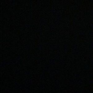 Meet your Posher, Braxton